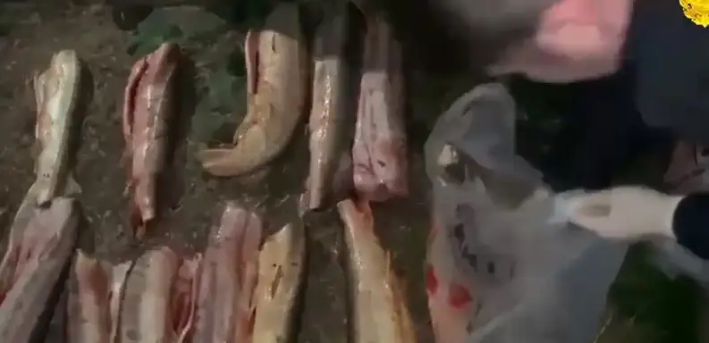 контрабанда