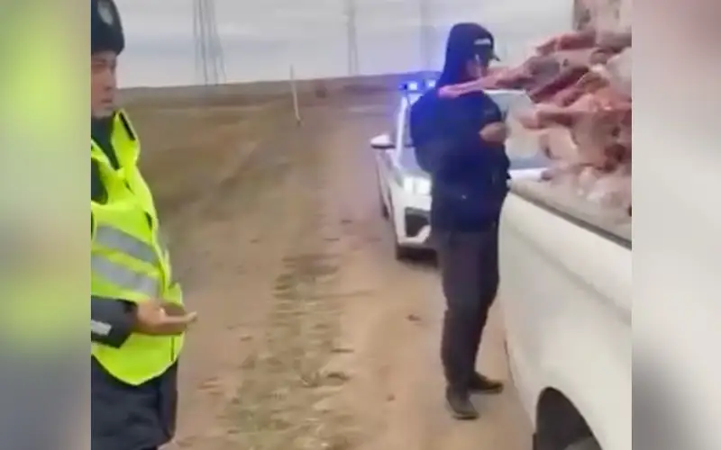 Машину с 40 тушами сайги остановили на трассе в Акмолинской области