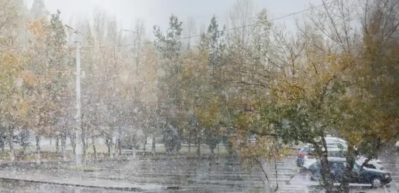 осень дождь снег