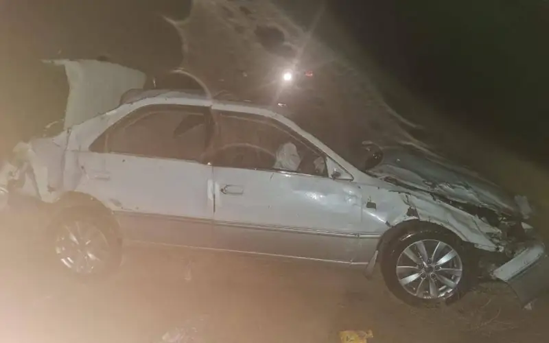 Смертельное ДТП произошло в области Жетысу