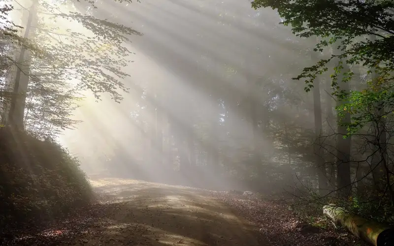 Алматы мен 11 облыста ауа райына байланысты ескерту жарияланды