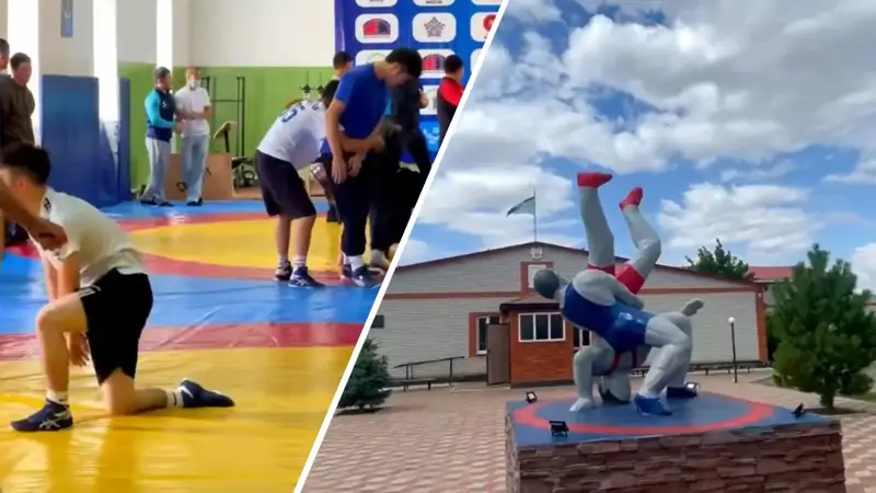 sport zaly