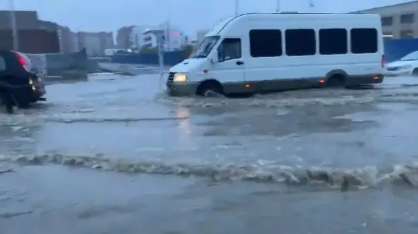 sý tasqyny