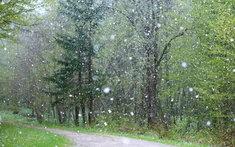 weather