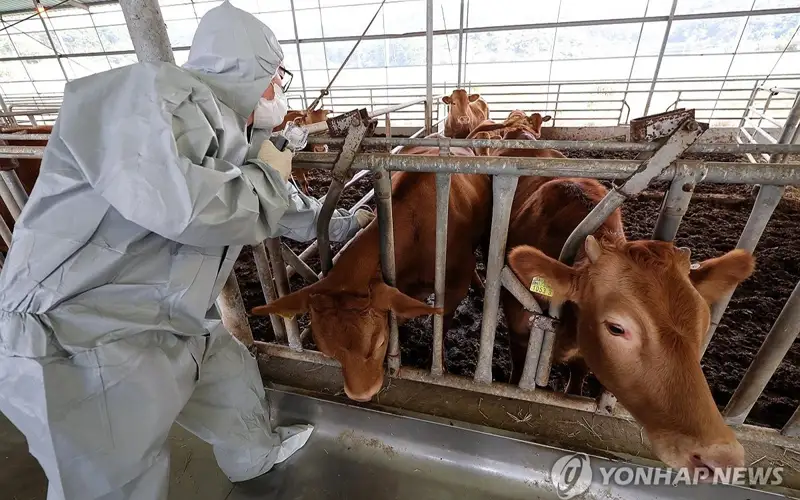 Yonhap