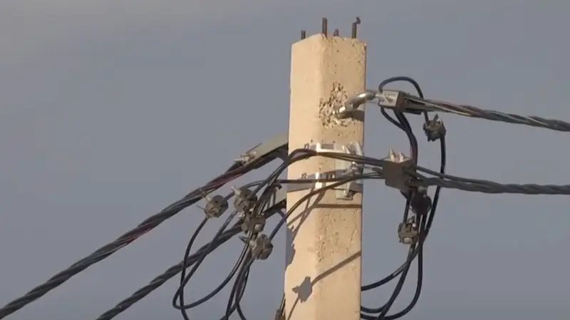 Птиц обвинили в отключения света близ Караганды