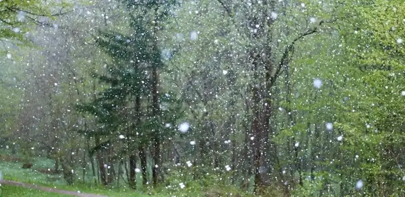 snow