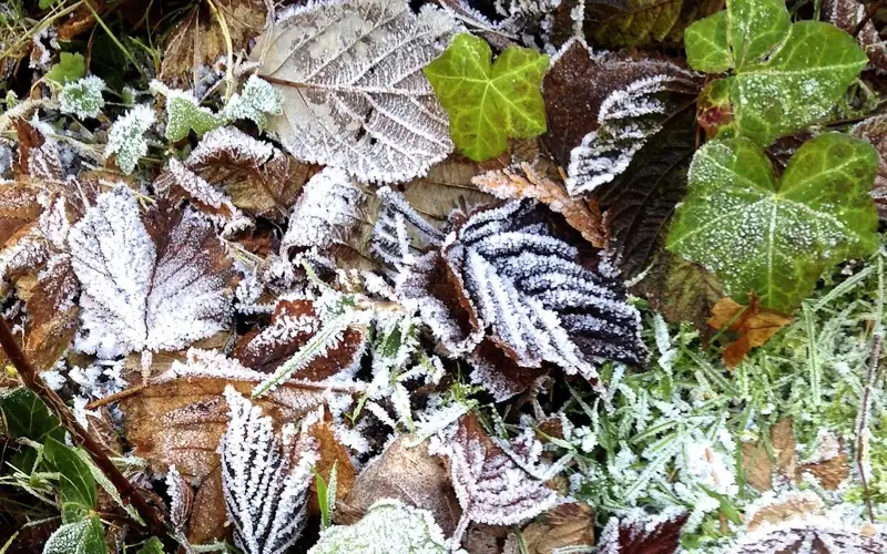 Осадки и гололед 