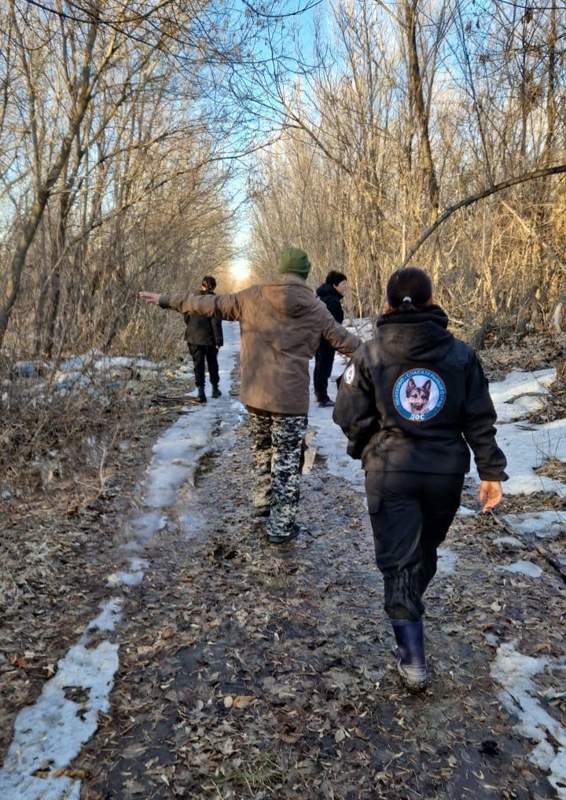 дос спасатели