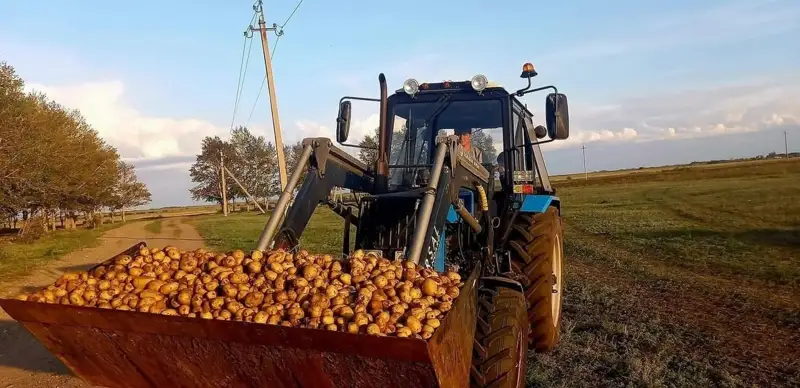 қоныс аудару