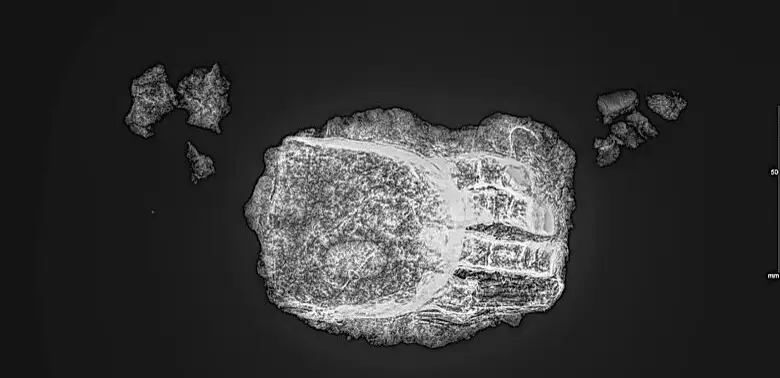 древний протез