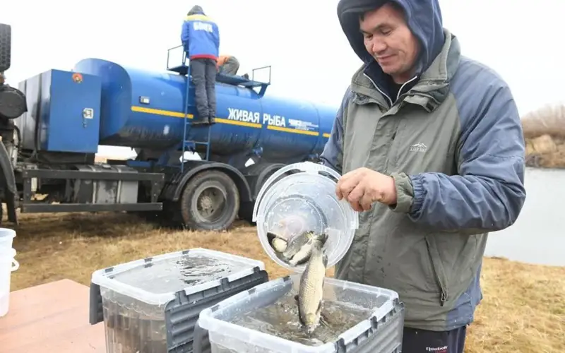 100 тысяч особей белого амура выпустили в реку Есиль