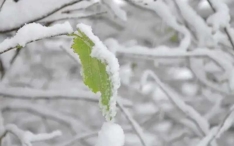 Каким будет ноябрь в СКО