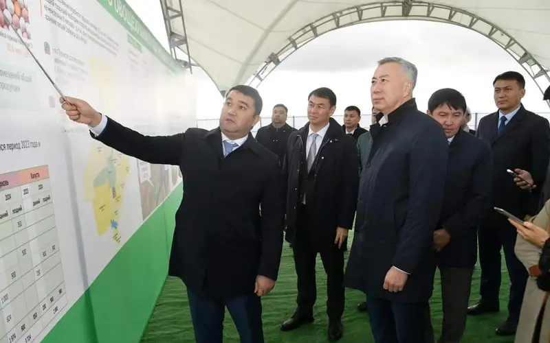 Túrkistan oblysynda 4 myń tonna kókónis saqtaıtyn zamanaýı qoımanyń qurylysy bastaldy
