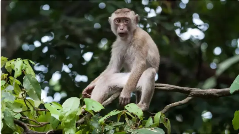 Фото: elements.envato.com 