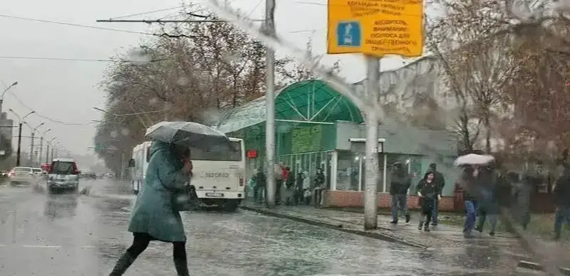 Weather