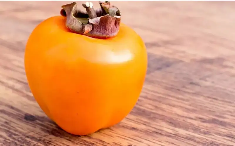 Фото: pixabay.com