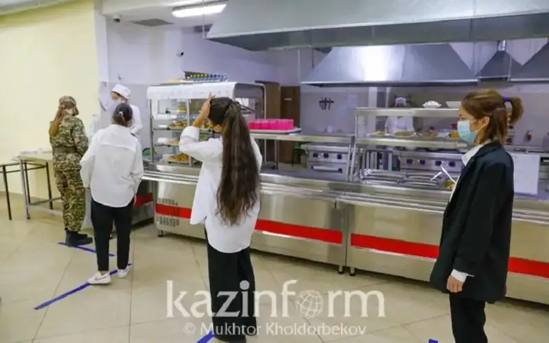 школьные столовые