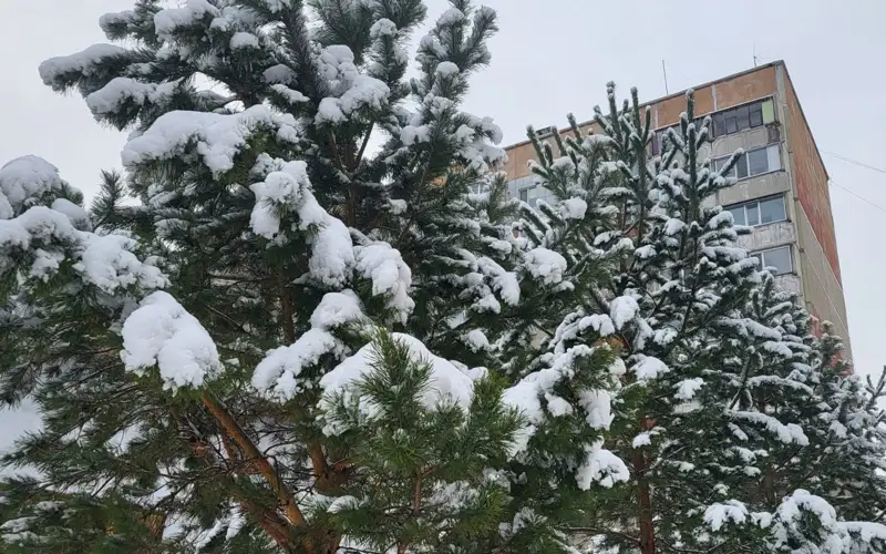 Почти половина декадной нормы осадков выпала за ночь в Петропавловске