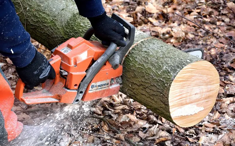  Бензопила раздробила лицо жителю Петропавловска