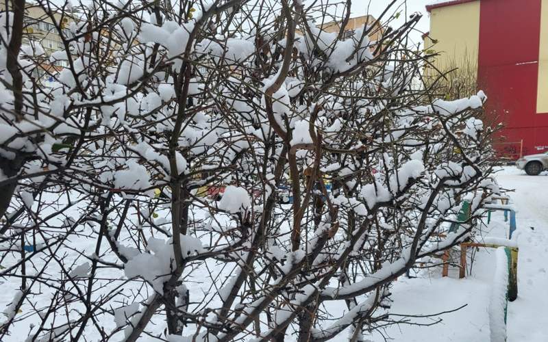 Почти половина декадной нормы осадков выпала за ночь в Петропавловске Почти половина декадной нормы осадков выпала за ночь в Петропавловске