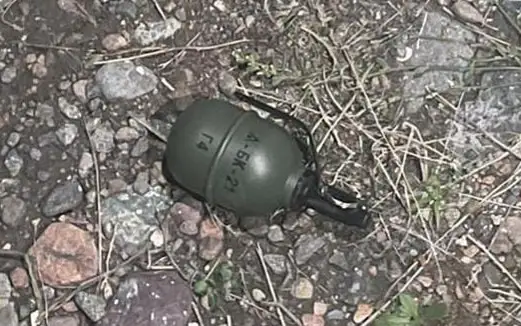 Схрон с гранатами обнаружили в Алматинской области