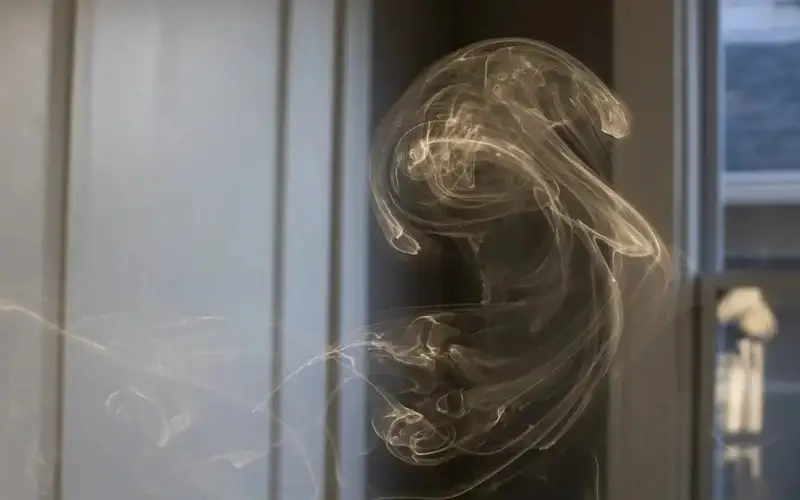 Қазақстан мен Жапония көміртек шығарындыларын бірлесіп өтеу туралы келісімге қол қойды