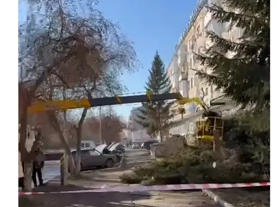 рубка деревьев