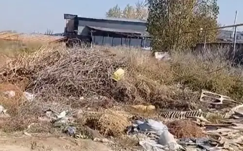 мусор свалка