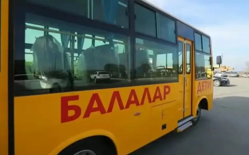автобусы