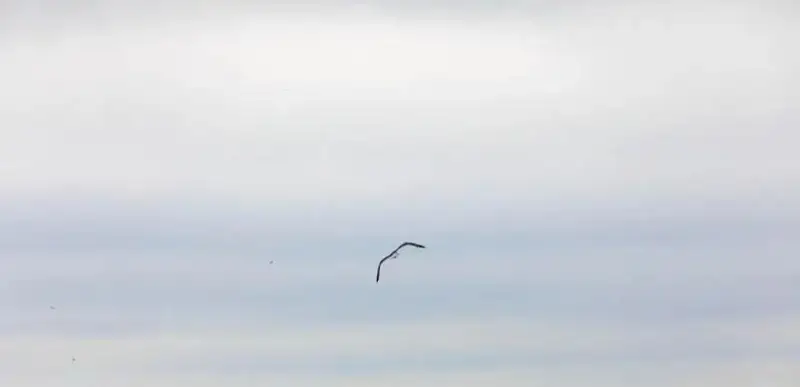 метеоусловия