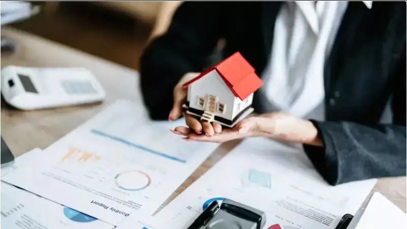  Фото: elements.envato.com  