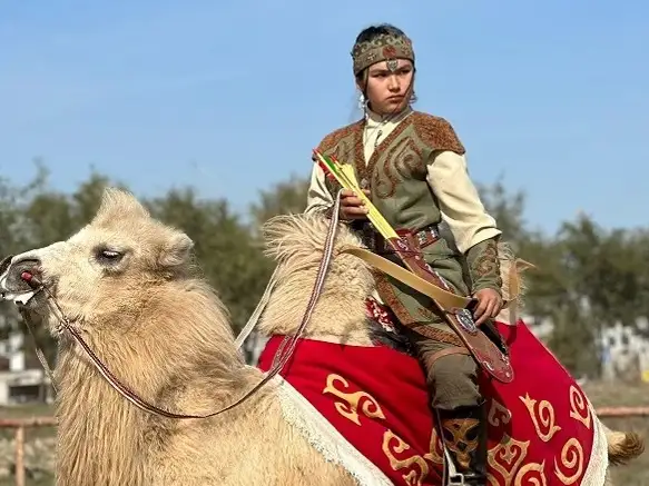 تۇيە ۇستىندە جامبى اتىپ، رەكورد ورناتتى