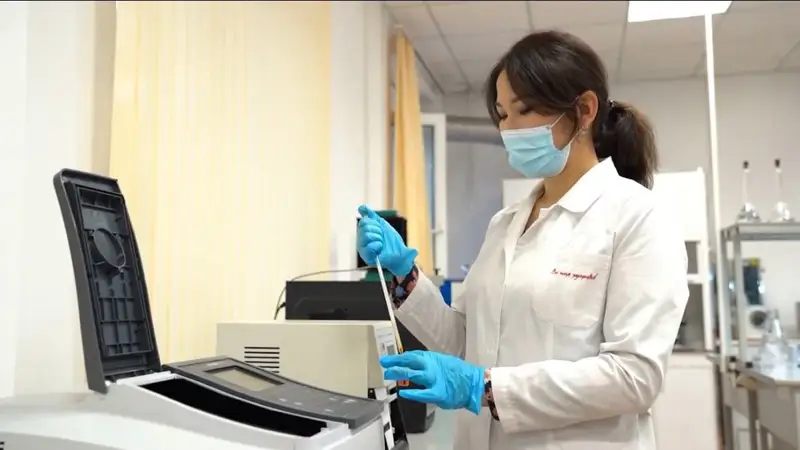 өсімдіктен алынған сүт