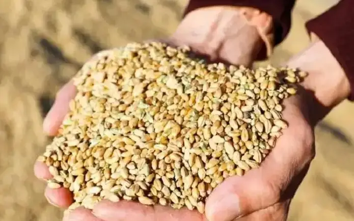 Harvesting 