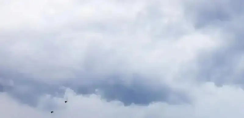 метеоусловия