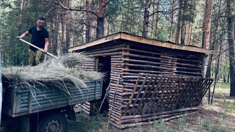 ańdar