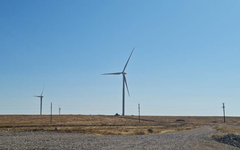 тараз тараз