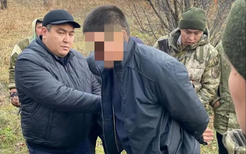 Подозреваемого в изнасиловании подростка задержали в горах области Жетысу 