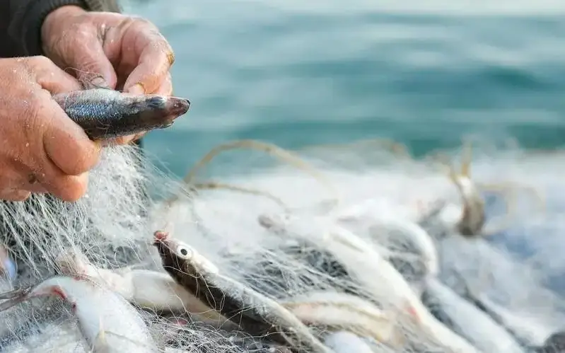 браконьеры