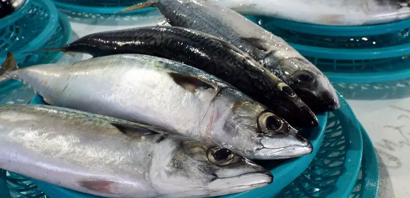 рыбная продукция