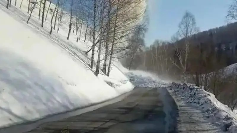 қар көшкіні