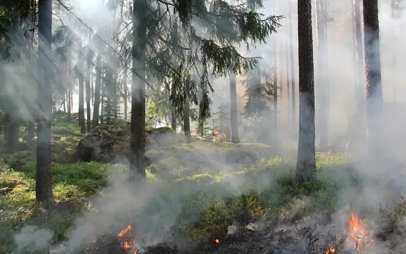 fires