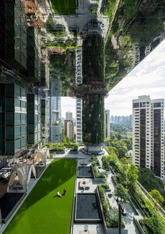 35 قاباتتى Pan Pacific Orchard وتەلى