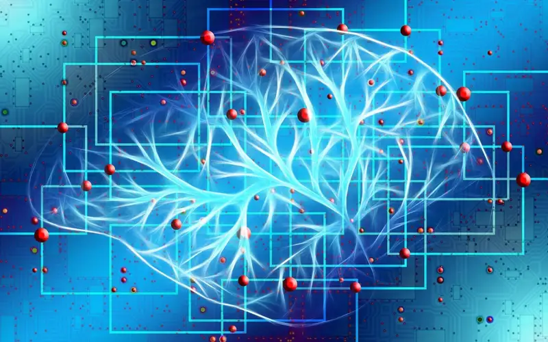 Neuralink ищет добровольца для роботизированной имплантации чипа в мозг