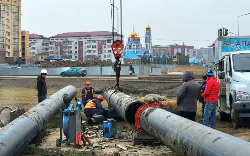 коллектор петропавловск