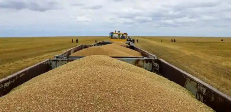 Kazakhstan imported 2.9mln tons of grain from Russia in 8M2023