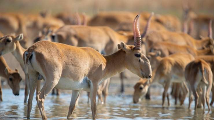Фото: depositphotos.com Фото: depositphotos.com