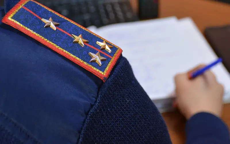  Целый лес вырубили двое мужчин в области Жетысу