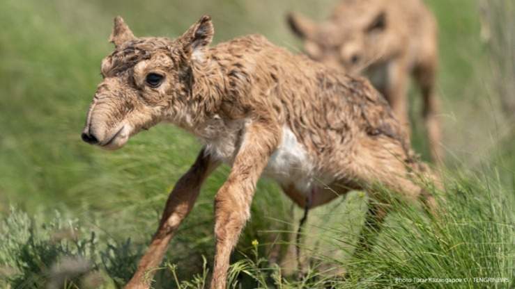Фото: depositphotos.com Фото: depositphotos.com